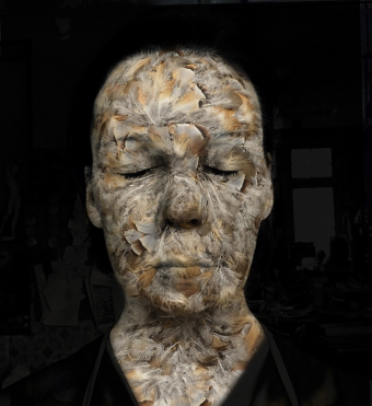 SCULPTURE EN PLUME - LA BELLE ET LA BETE